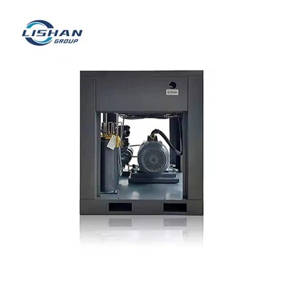 Bipolar Permanent Magnet Variable Fréquence Air Compressor100A